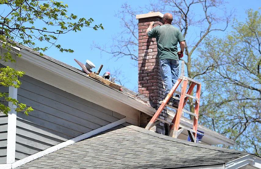 Chimney & Fireplace Inspections Services in Oak Ridge, FL